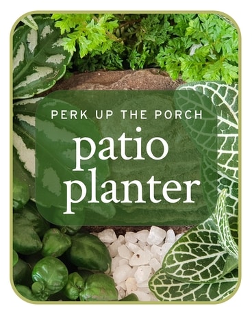 Patio Planter Plant