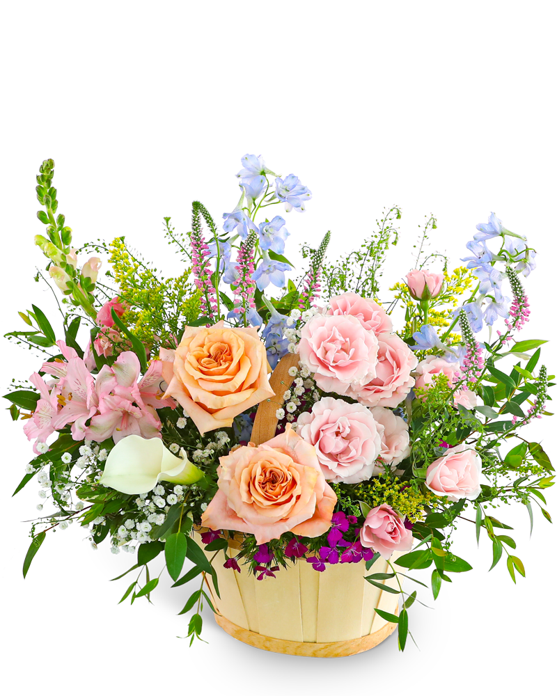  birthday delivery westerville oh westerville florist