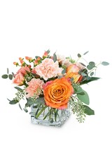 Standard size, 9 inches height and 10 inches wide.