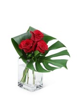 Standard size, 12 inches height and 14 inches wide.
