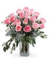 Standard size, 20 inches height and 14 inches wide.