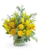 Standard size, 13 inches height and 12 inches wide.