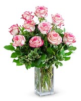 Standard size, 20 inches height and 12 inches wide.