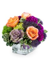 Standard size, 9 inches height and 10 inches wide.