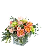 Standard size, 12 inches height and 12 inches wide.