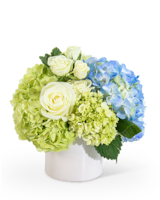 Standard size, 9 inches height and 8 inches wide.