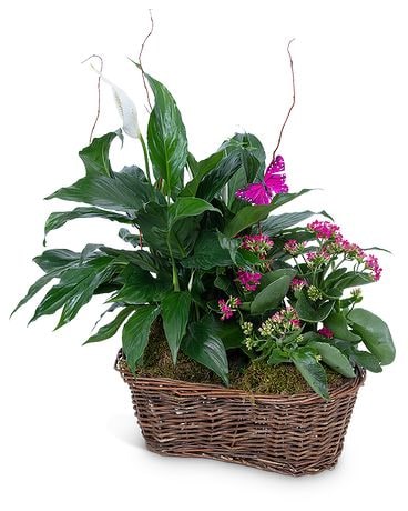 Harmony Basket with Butterflies Flower Arrangement