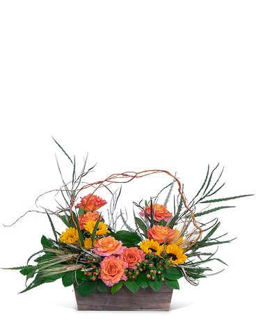 A Walk on the Wild Side Flower Arrangement