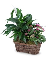 Standard size, 24 inches height and 18 inches wide.