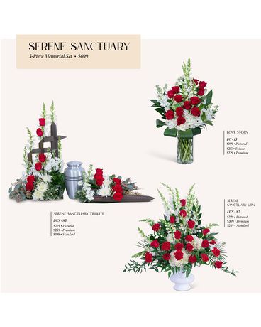 Standard size,  inches height and  inches wide.