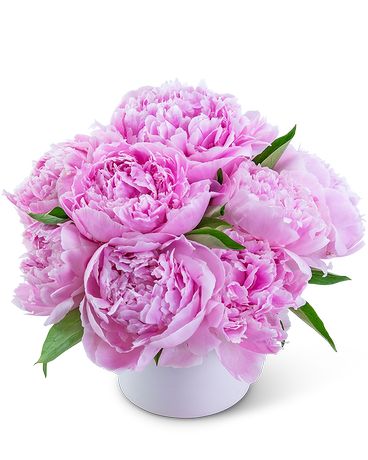 Peony Paradise Flower Arrangement