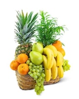 Deluxe size, 20 inches height and 18 inches wide.