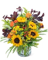 Standard size, 20 inches height and 18 inches wide.
