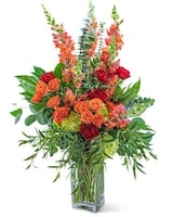 Standard size, 31 inches height and 16 inches wide.