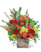 Standard size, 22 inches height and 19 inches wide.