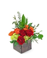 Standard size, 12 inches height and 8 inches wide.