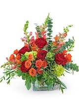 Standard size, 22 inches height and 19 inches wide.