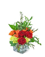 Premium size,  inches height and  inches wide.