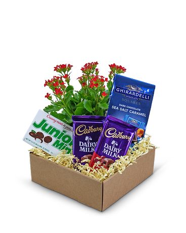 Boy Meets World Basket Gift Basket