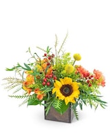 Standard size, 10 inches height and 15 inches wide.