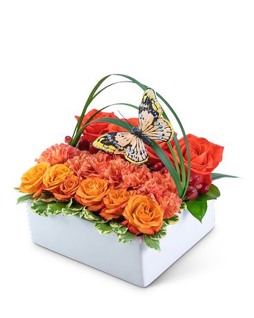 Butterfly Garden Pave Flower Arrangement