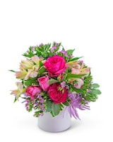 Standard size, 10 inches height and 8 inches wide.