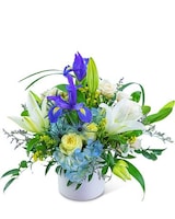 Standard size, 16 inches height and 15 inches wide.