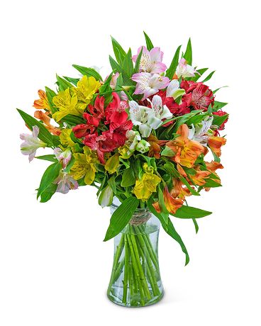 Standard size, 15 inches height and 10 inches wide.