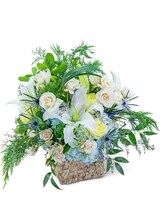 Standard size, 17 inches height and 13 inches wide.