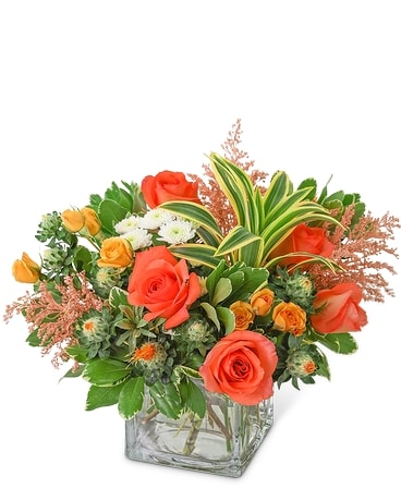 Paloma Blossom Flower Arrangement