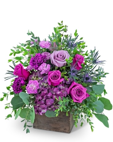 Posh Violet Flower Arrangement