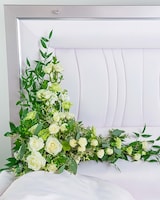 Standard size,  inches height and  inches wide.