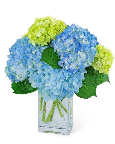 Coastal Calm Flower Arrangement