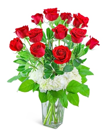 Red Roses with Hydrangea Flower Arrangement