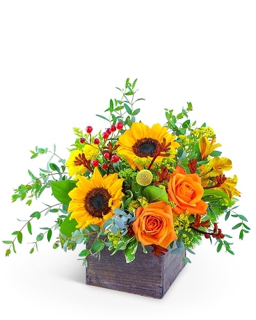 Fresh Thyme Flower Arrangement