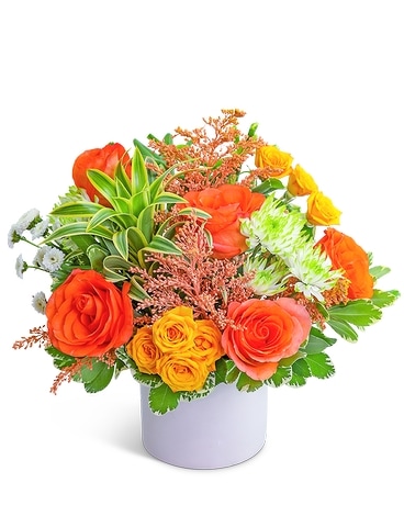 The Flower Shop - Get Well Flowers - All is Bright in a