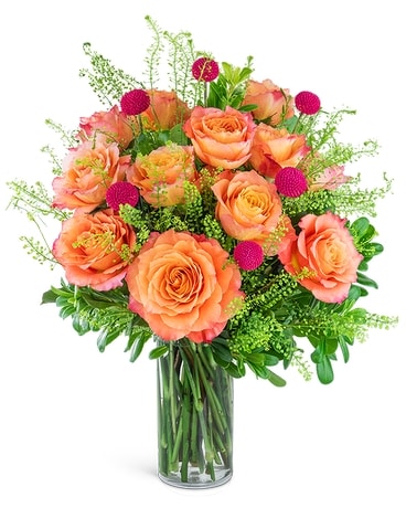 One Dozen Wild and Free Spirit Roses Flower Arrangement