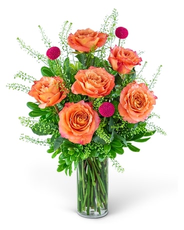 Half Dozen Wild and Free Spirit Roses Flower Arrangement