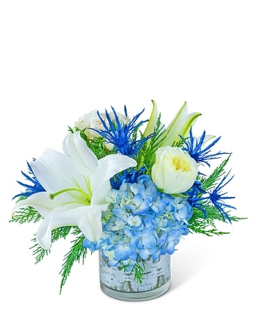 Winter Sky Razzle Dazzle® Flowers Mesa 85207 Flower Arrangement