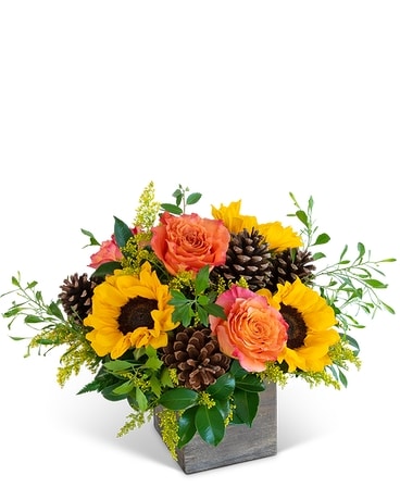 Harvest Sunburst Harmony in Tyler TX - Flowers by LouAnn