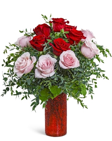 Orange Roses On Riverside One Dozen Sparkling Pink and Red Roses in Riverside NJ - Riverside ...