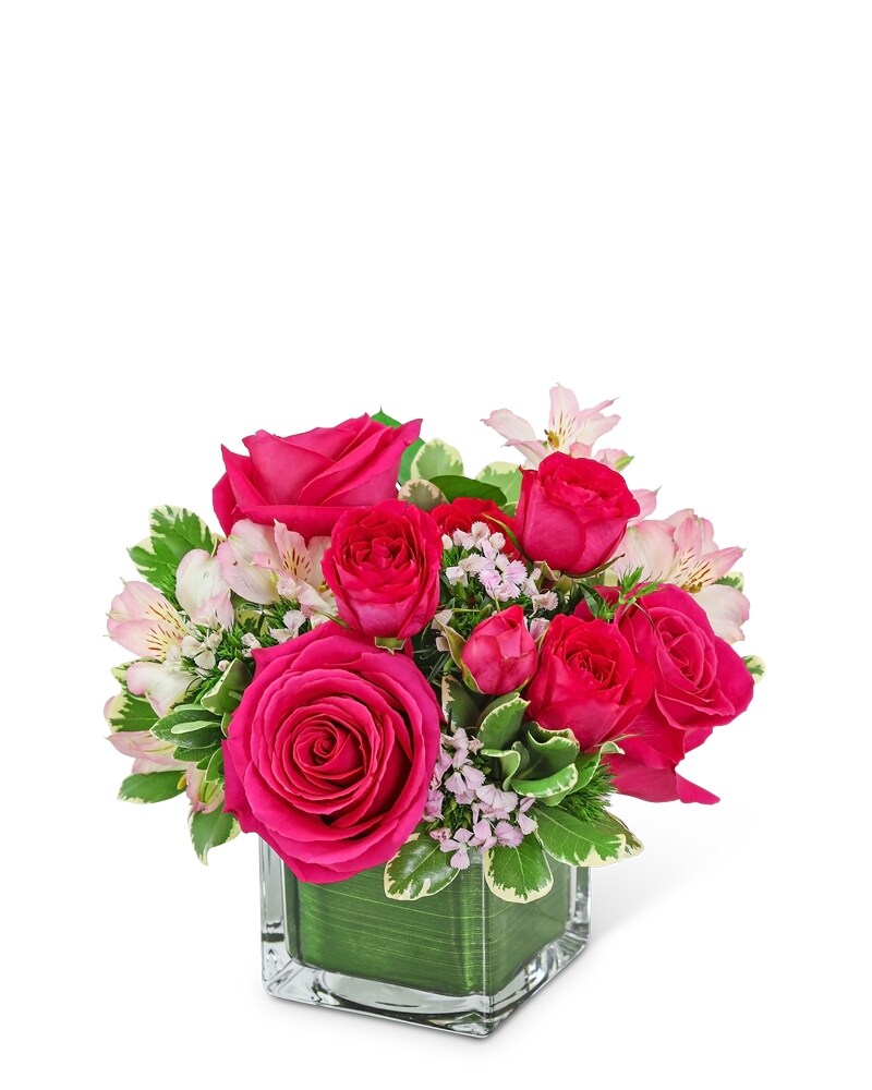 Small Package / 紫陽花＜CD＞　08250521H01T Cosmo Cutie in Mayfield Heights OH - Mayfield Floral