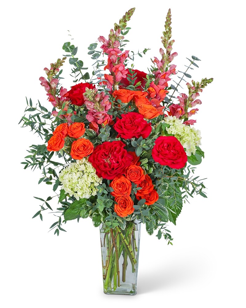 Capri Coast Razzle Dazzle® Flowers Mesa AZ 85207 | Flower Delivery