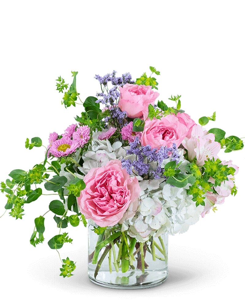 クラウドナイン Cloud Nine in Oneonta NY - Coddington's Florist