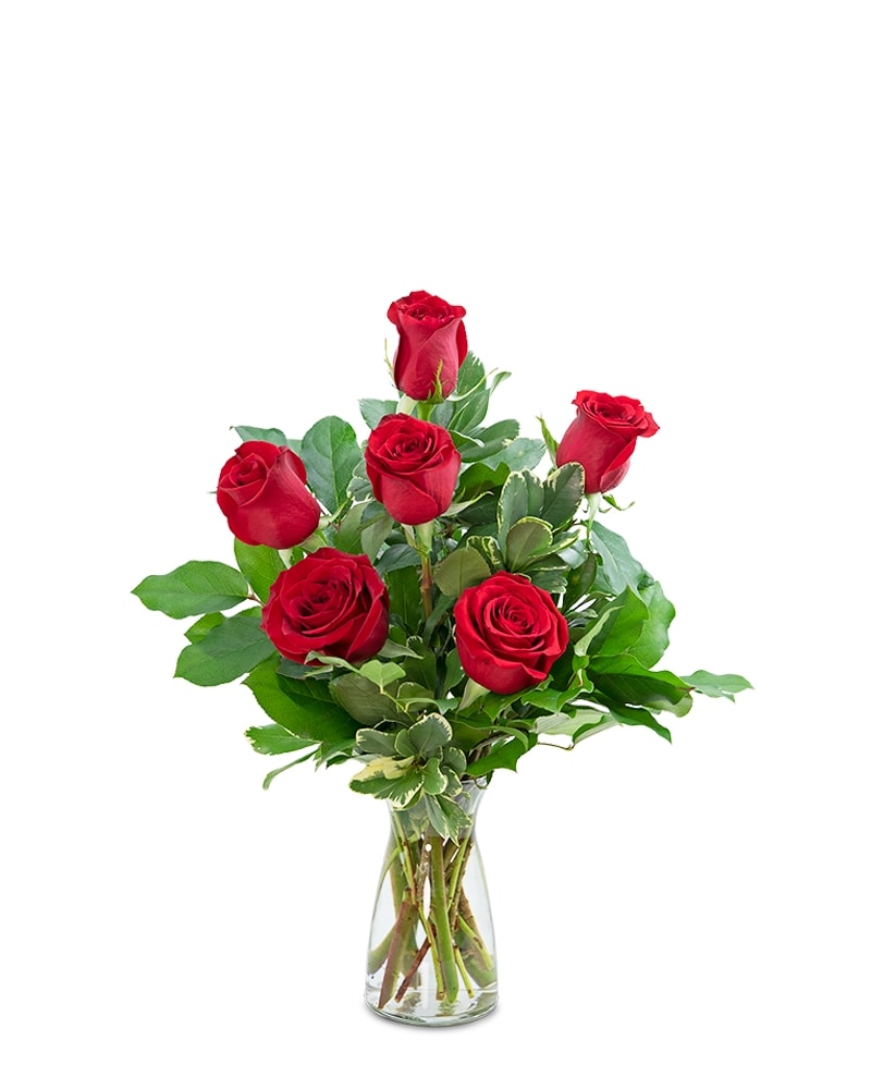 Red Roses (6) in Mayfield Heights OH - Mayfield Floral