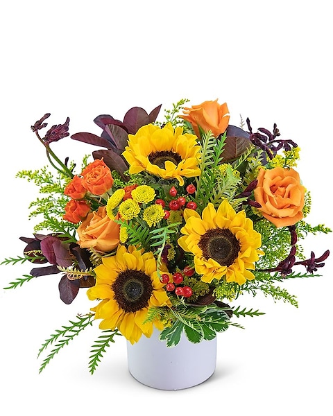 Amazing Box of Chocolate with Hypericum and Solidago