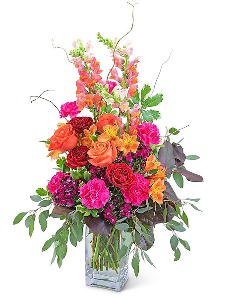 Mango Showstopper in Huntington IN - Town & Country Flowers & Gifts