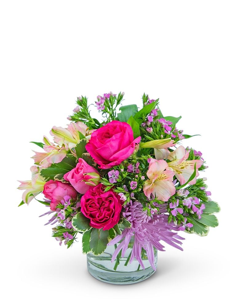 Simply Cosmopolitan in Abington MA - Hutcheon's Florist & Flower