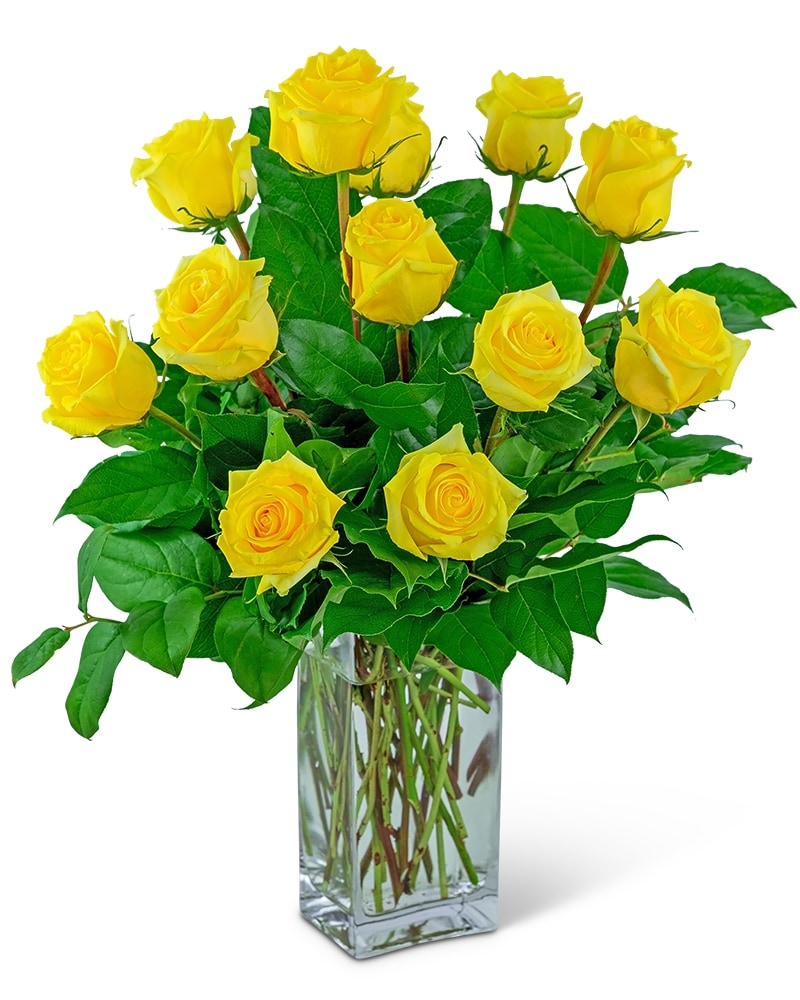 jordan yellow rose