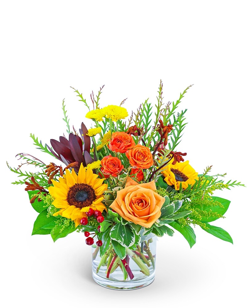 Tuscan Sun Razzle Dazzle® Flowers Mesa AZ | Flower Delivery in